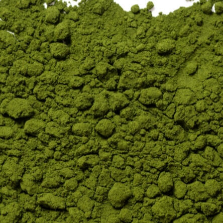 Grüntee Extrakt